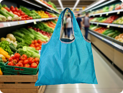 Shopping Sacculi